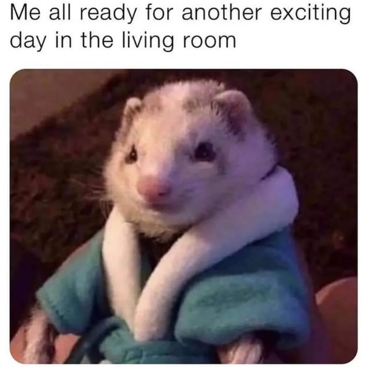 Me all ready for another exciting day in the living room