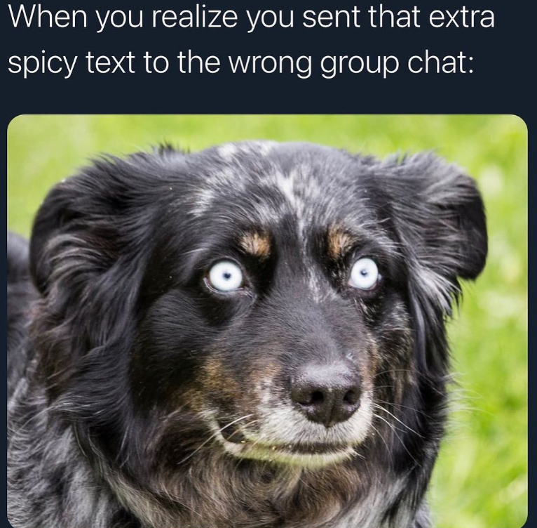 When you realize you sent that extra spicy text to the wrong group chat: