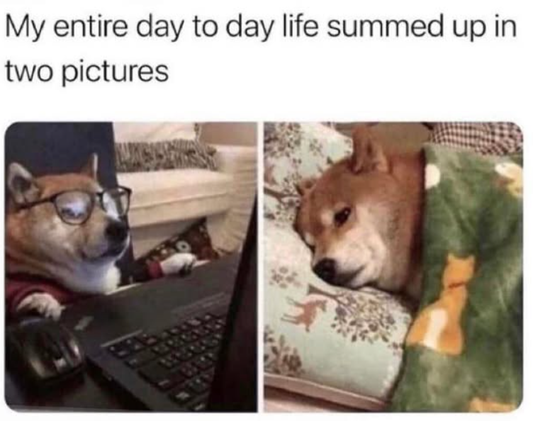My entire day to day life summed up in two pictures