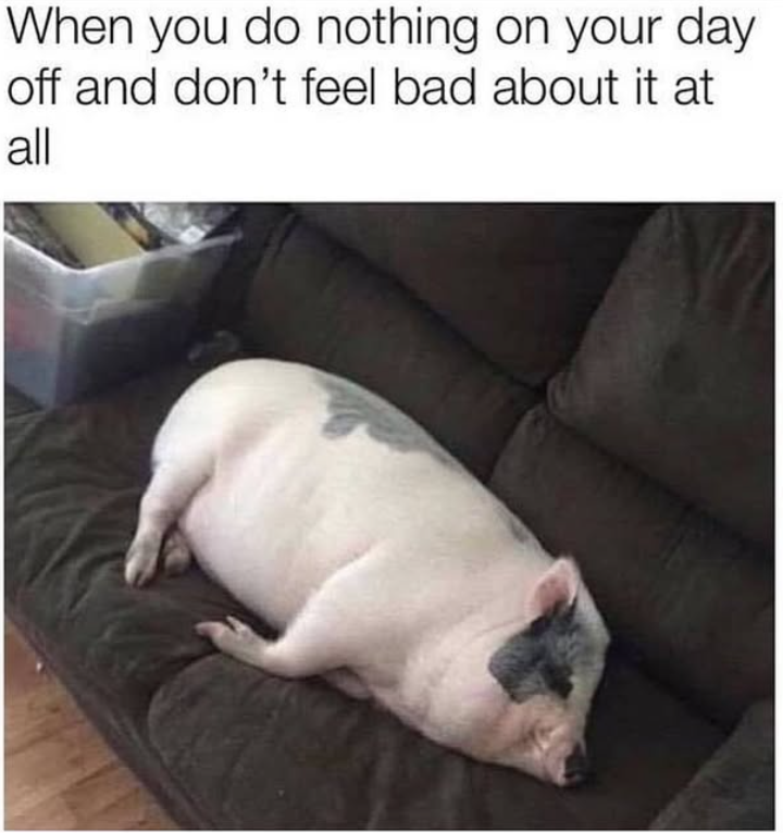 When you do nothing on your day off and don't feel bad about it at all