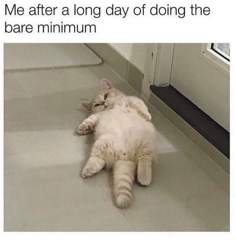 Me after a long day of doing the bare minimum