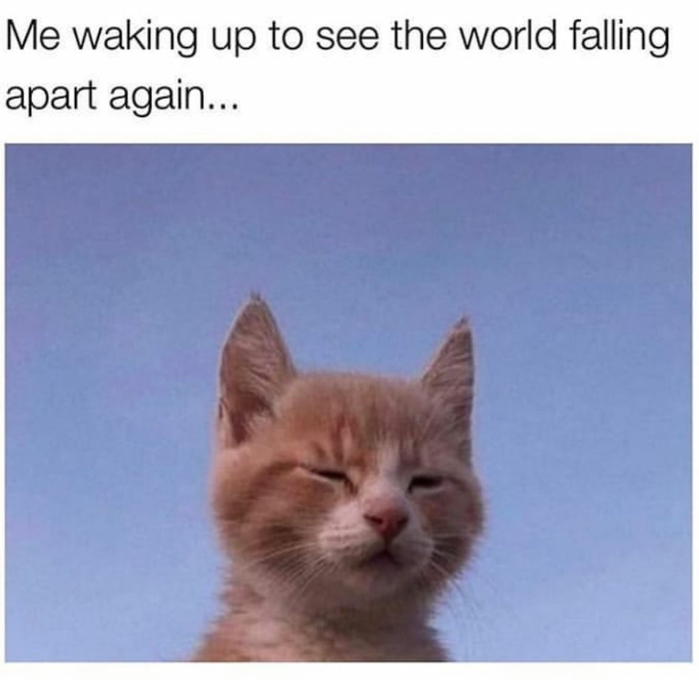 Me waking up to see the world falling apart again...