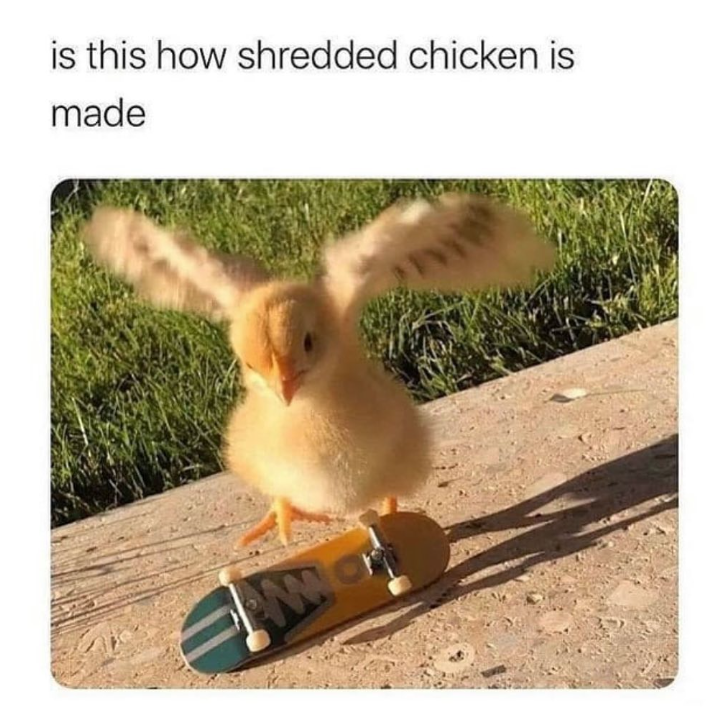 is this how shredded chicken is made