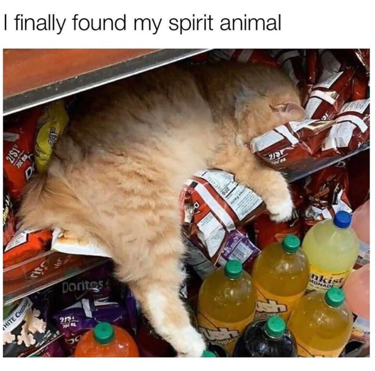 HITE CHEDG 2/$1 D I finally found my spirit animal Doritos 213 597 200 2/5 nkist MONADE