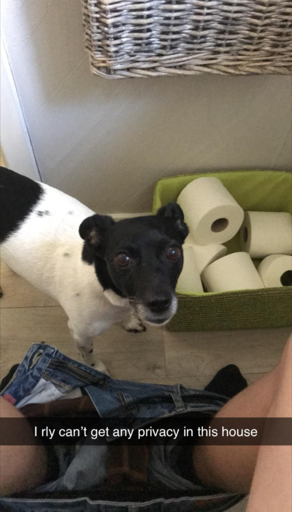 rly can't get any privacy in this house