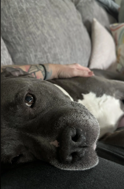 Cheezburger Image 10614619136