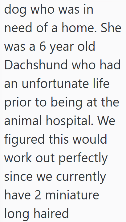 dog who was in need of a home. She was a 6 year old Dachshund who had an unfortunate life prior to being at the animal hospital. We figured this would work out perfectly since we currently have 2 miniature long haired