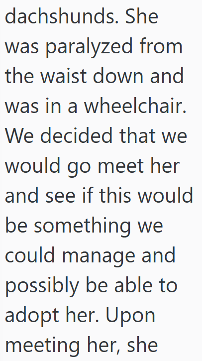 dachshunds. She was paralyzed from the waist down and was in a wheelchair. We decided that we would go meet her and see if this would be something we could manage and possibly be able to adopt her. Upon meeting her, she