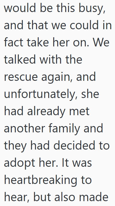 would be this busy, and that we could in fact take her on. We talked with the rescue again, and unfortunately, she had already met another family and they had decided to adopt her. It was heartbreaking to hear, but also made