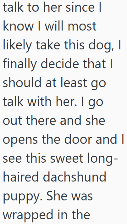 talk to her since I know I will most likely take this dog, I finally decide that I should at least go talk with her. I go out there and she opens the door and I see this sweet long- haired dachshund puppy. She was wrapped in the