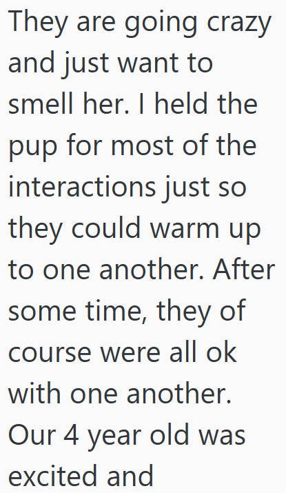 They are going crazy and just want to smell her. I held the pup for most of the interactions just so they could warm up to one another. After some time, they of course were all ok with one another. Our 4 year old was excited and