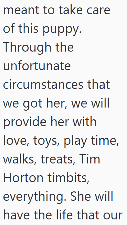 meant to take care of this puppy. Through the unfortunate circumstances that we got her, we will provide her with love, toys, play time, walks, treats, Tim Horton timbits, everything. She will have the life that our