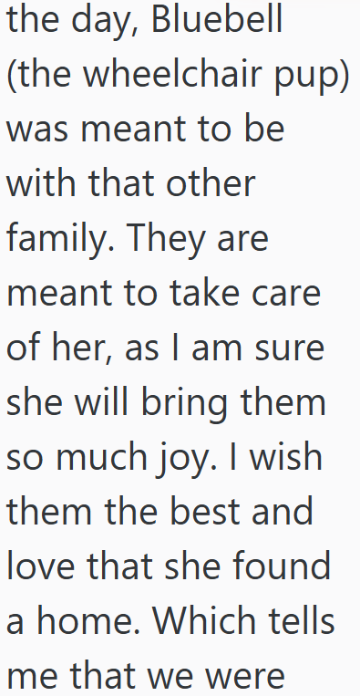 the day, Bluebell (the wheelchair pup) was meant to be with that other family. They are meant to take care of her, as I am sure she will bring them so much joy. I wish them the best and love that she found a home. Which tells me that we were