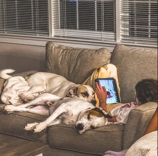 Cheezburger Image 10614631680