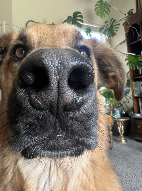 Cheezburger Image 10614632448