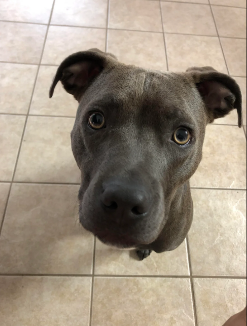 Cheezburger Image 10614632960