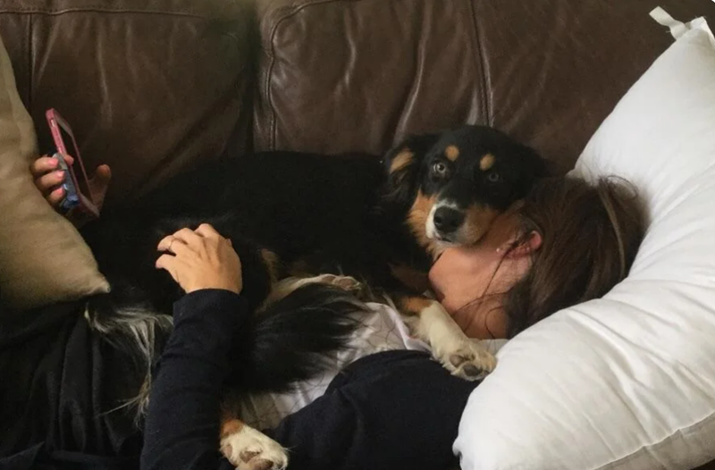 Cheezburger Image 10614634496