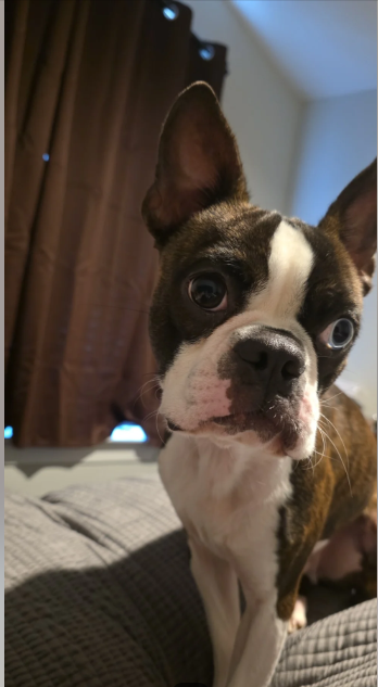 Cheezburger Image 10614636032