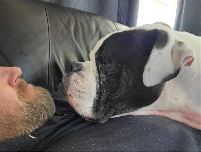 Cheezburger Image 10614639104