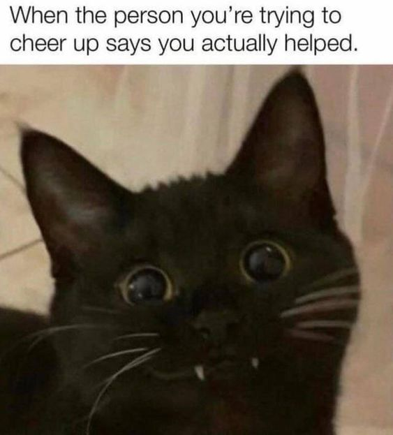 When the person you're trying to cheer up says you actually helped.