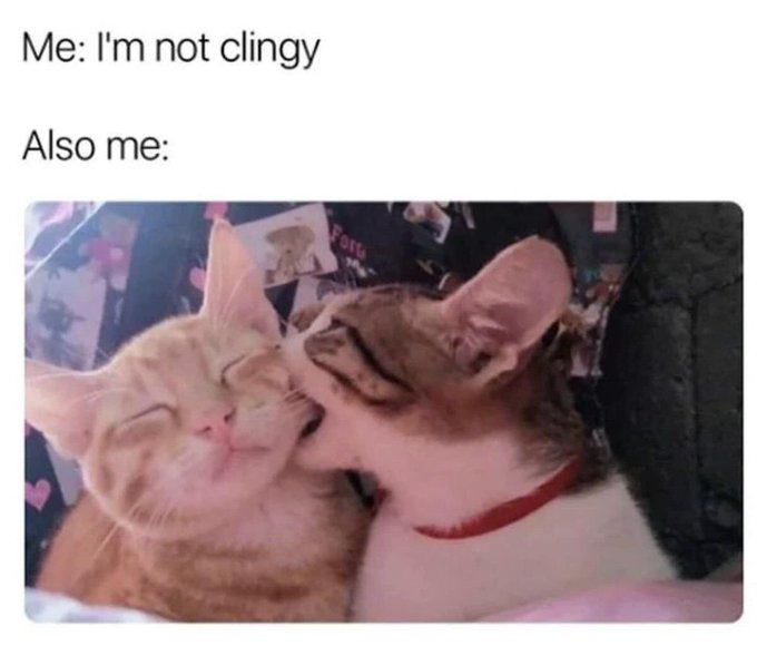 Me: I'm not clingy Also me: Fort
