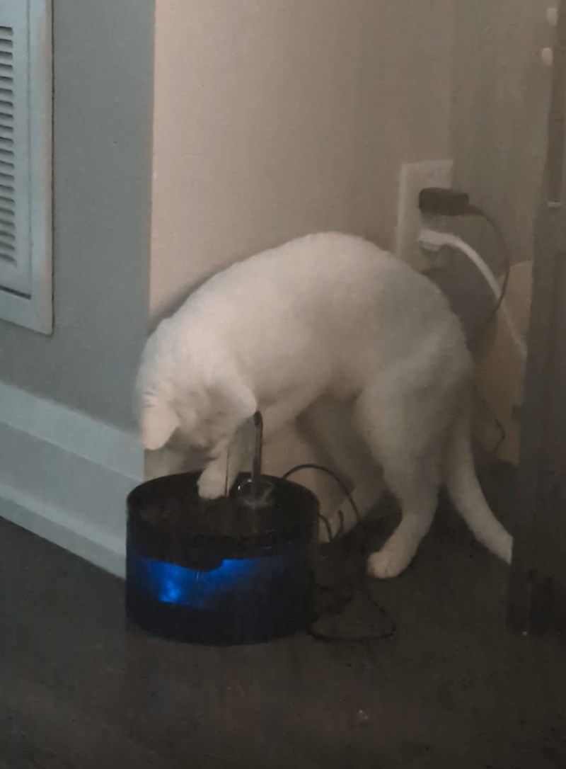 Cheezburger Image 10614660864