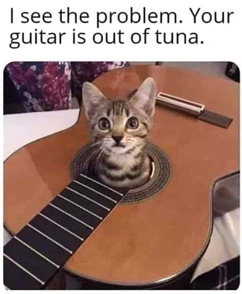 I see the problem. Your guitar is out of tuna.
