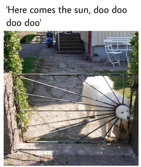 'Here comes the sun, doo doo doo doo'