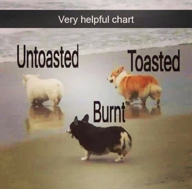 Very helpful chart Untoasted Burnt Toasted