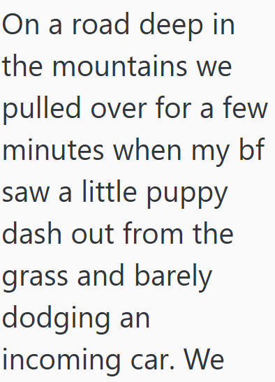 On a road deep in the mountains we pulled over for a few minutes when my bf saw a little puppy dash out from the grass and barely dodging an incoming car. We