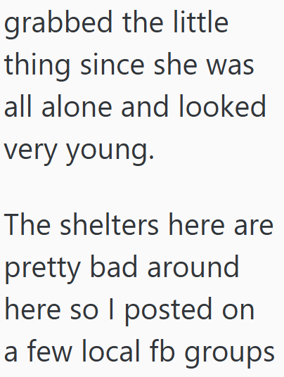 grabbed the little thing since she was all alone and looked very young. The shelters here are pretty bad around here so I posted on a few local fb groups