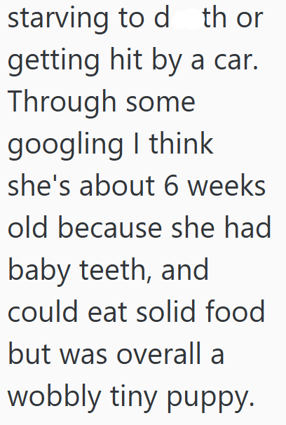 starving to d th or getting hit by a car. Through some googling I think she's about 6 weeks old because she had baby teeth, and could eat solid food but was overall a wobbly tiny puppy.