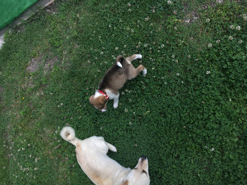 Cheezburger Image 10614682624