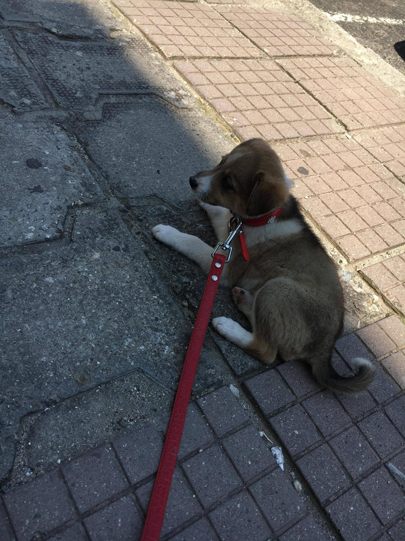 Cheezburger Image 10614682880