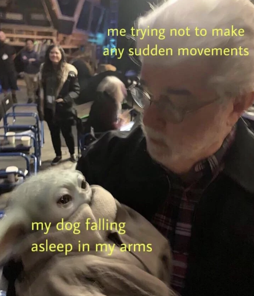 me trying not to make any sudden movements my dog falling asleep in my arms