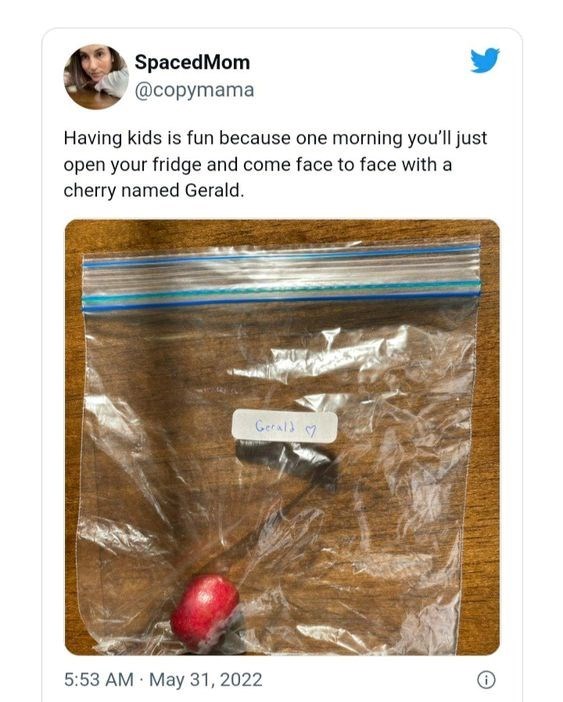 SpacedMom @copymama Having kids is fun because one morning you'll just open your fridge and come face to face with a cherry named Gerald. Gerald 5:53 AM May 31, 2022