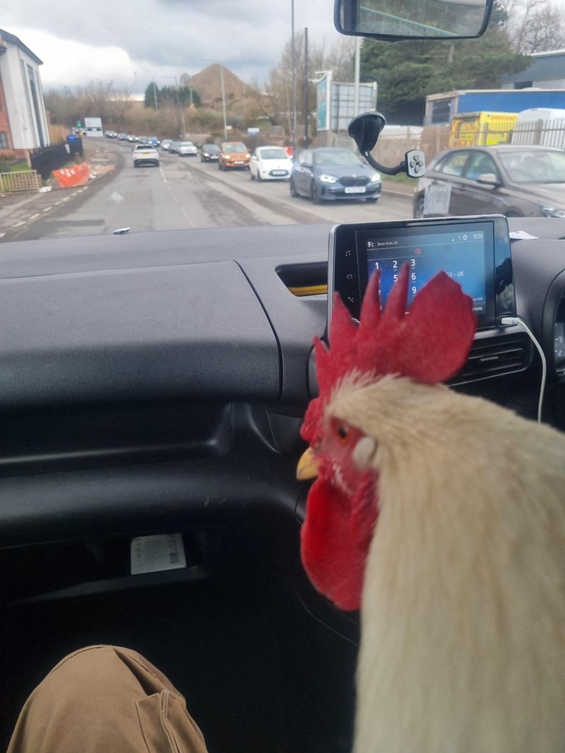 10:35 9c Boom Rado UK a 1 2 3 5 6 2-UK 9