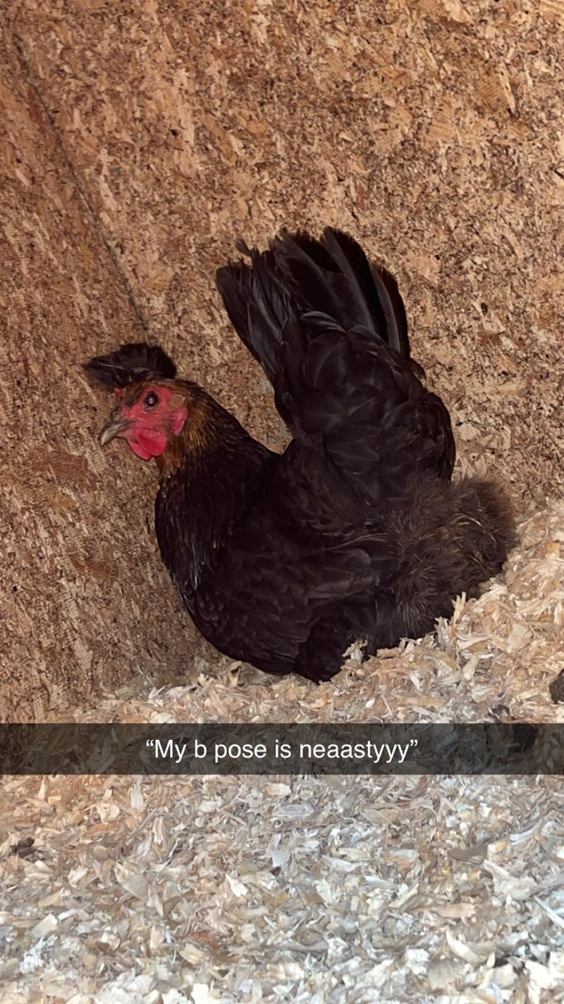 "My b pose is neaastyyy"