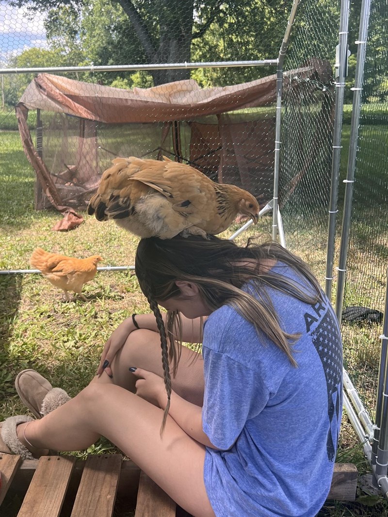 Cheezburger Image 10614694400