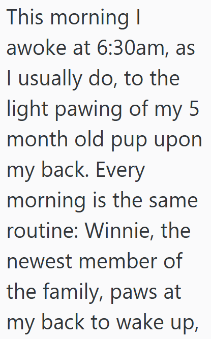 This morning I awoke at 6:30am, as I usually do, to the light pawing of my 5 month old pup upon my back. Every morning is the same routine: Winnie, the newest member of the family, paws at my back to wake up,