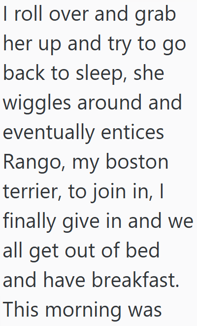 I roll over and grab her up and try to go back to sleep, she wiggles around and eventually entices Rango, my boston terrier, to join in, I finally give in and we all get out of bed and have breakfast. This morning was