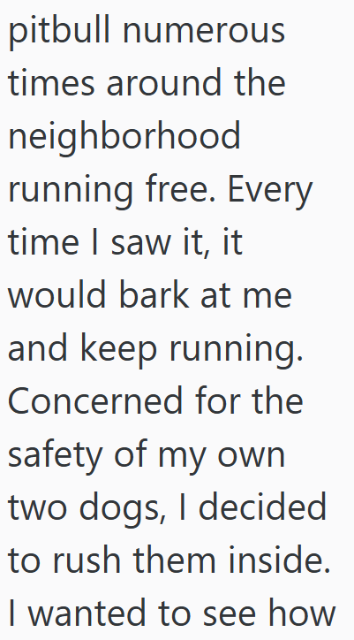 pitbull numerous times around the neighborhood running free. Every time I saw it, it would bark at me and keep running. Concerned for the safety of my own two dogs, I decided to rush them inside. I wanted to see how