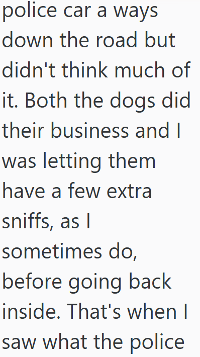 police car a ways down the road but didn't think much of it. Both the dogs did their business and I was letting them I have a few extra sniffs, as I sometimes do, before going back inside. That's when I saw what the police