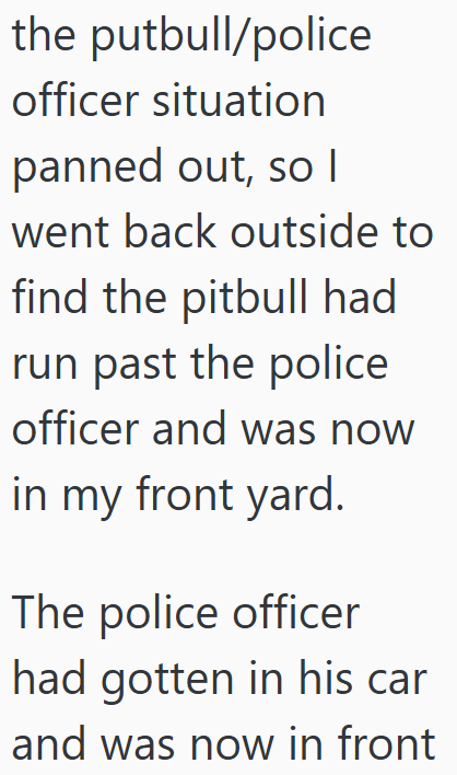 the putbull/police officer situation panned out, so I went back outside to find the pitbull had run past the police officer and was now in my front yard. The police officer had gotten in his car and was now in front