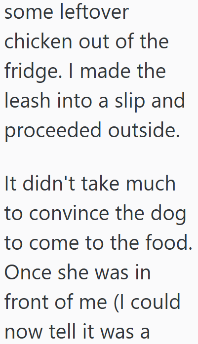 some leftover chicken out of the fridge. I made the leash into a slip and proceeded outside. It didn't take much to convince the dog to come to the food. Once she was in front of me (I could now tell it was a