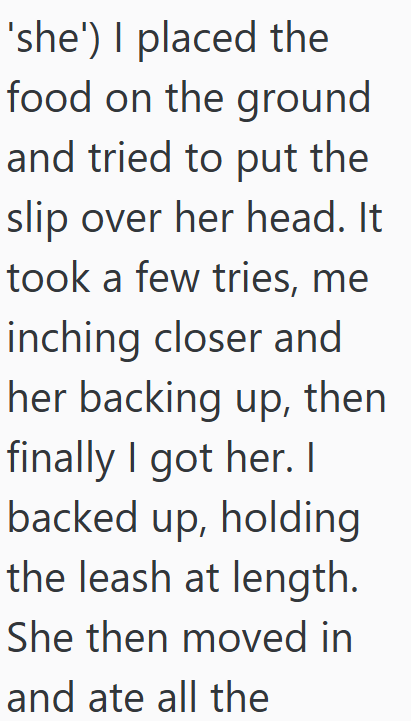 'she') I placed the food on the ground and tried to put the slip over her head. It took a few tries, me inching closer and her backing up, then finally I got her. I backed up, holding the leash at length. She then moved in and ate all the