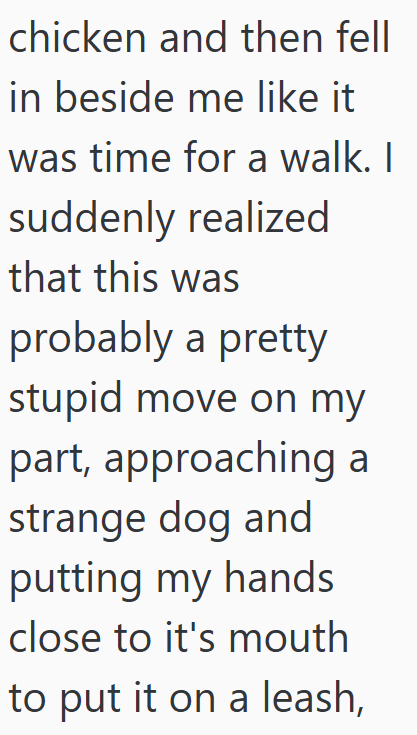 chicken and then fell in beside me like it was time for a walk. I suddenly realized that this was probably a pretty stupid move on my part, approaching a strange dog and putting my hands close to it's mouth to put it on a leash,