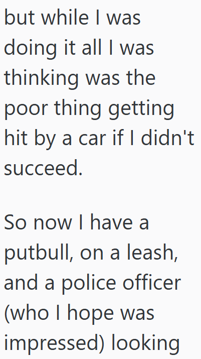 but while I was doing it all I was thinking was the poor thing getting hit by a car if I didn't succeed. So now I have a putbull, on a leash, and a police officer (who I hope was impressed) looking