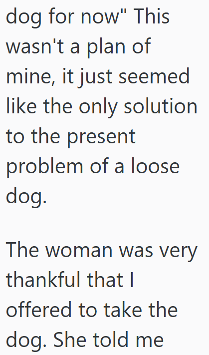 dog for now" This wasn't a plan of mine, it just seemed like the only solution to the present problem of a loose dog. The woman was very thankful that I offered to take the dog. She told me