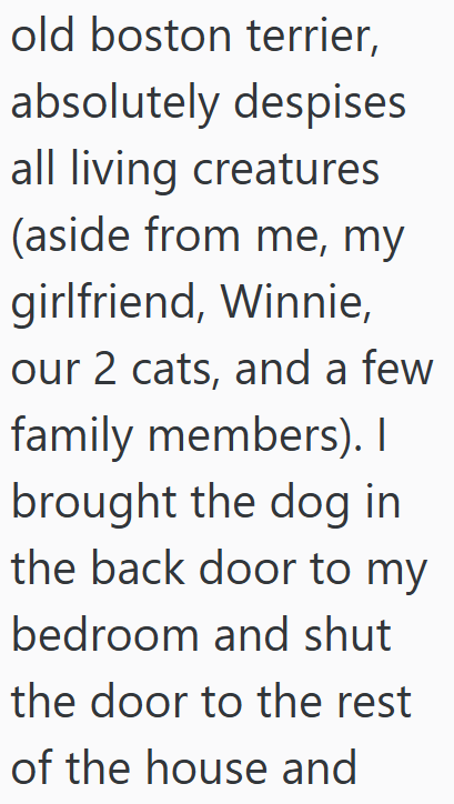 old boston terrier, absolutely despises all living creatures (aside from me, my girlfriend, Winnie, our 2 cats, and a few family members). I brought the dog in the back door to my bedroom and shut the door to the rest of the house and